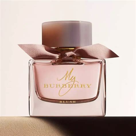 burberry bestseller perfume|most expensive burberry perfume.